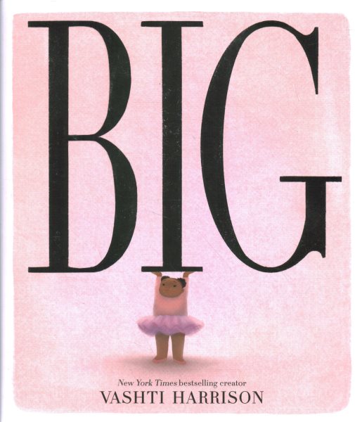 Review of the Day: Big by Vashti Harrison