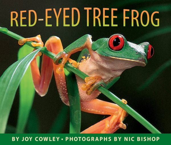 Fuse 8 n’ Kate: Red-Eyed Tree Frog by Joy Cowley, ill. Nic Bishop
